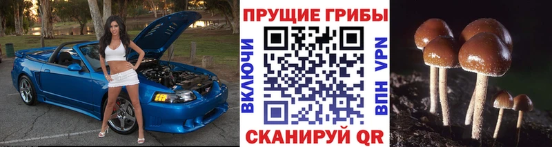 Галлюциногенные грибы Magic Shrooms  Мурино 