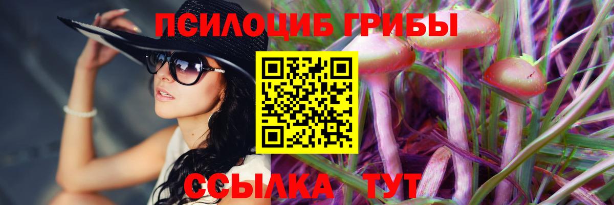 Мурино  Псилоцибиновые грибы Psilocybe  Вход с VPN 